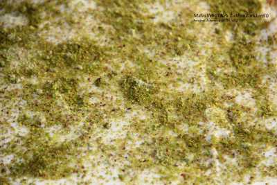 Kırklareli Geleneksel Mutfak Kültürü